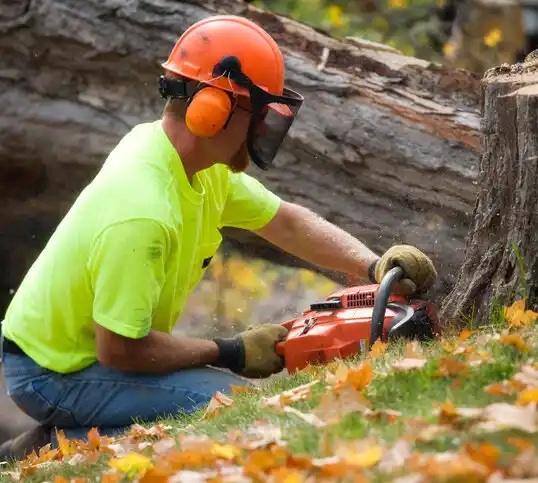 tree services Wurtland